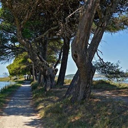 Agreable Maison De Famille Sur Gite Echarou Сижан Екстериор снимка